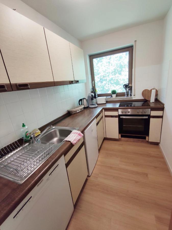 Black Forest Living - Todtnauberg Apartman Kültér fotó