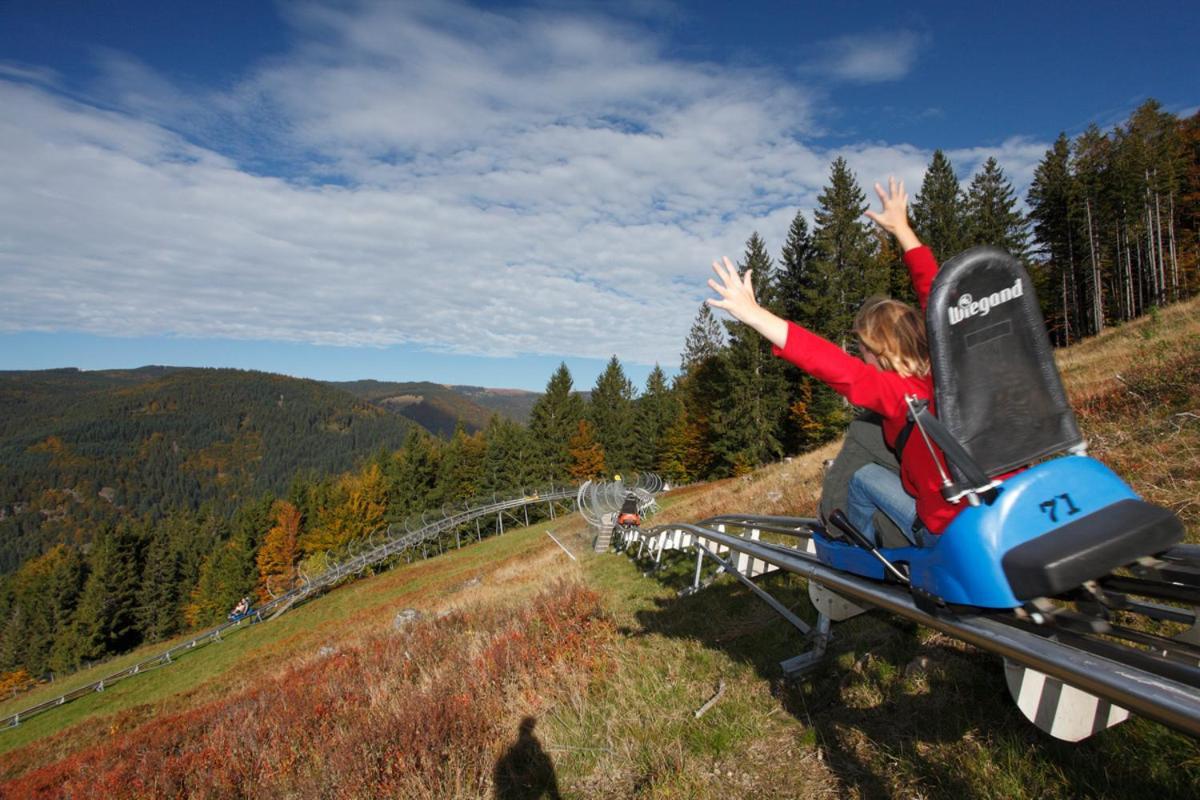 Black Forest Living - Todtnauberg Apartman Kültér fotó