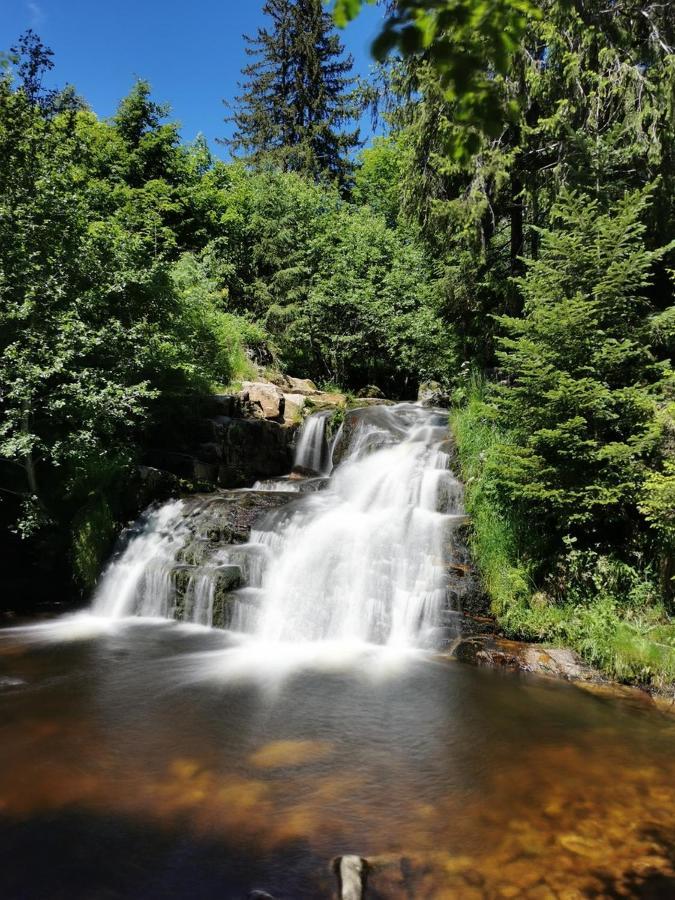 Black Forest Living - Todtnauberg Apartman Kültér fotó