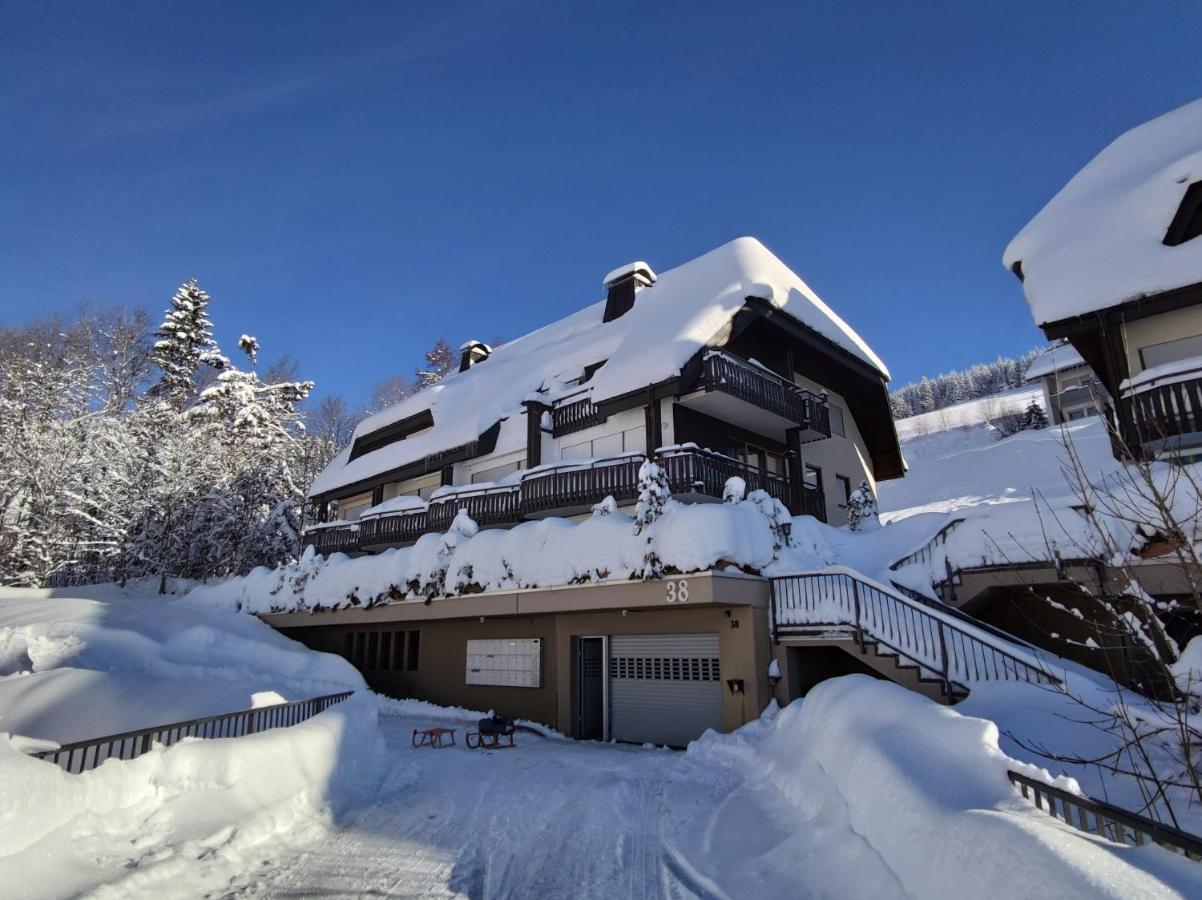 Black Forest Living - Todtnauberg Apartman Kültér fotó