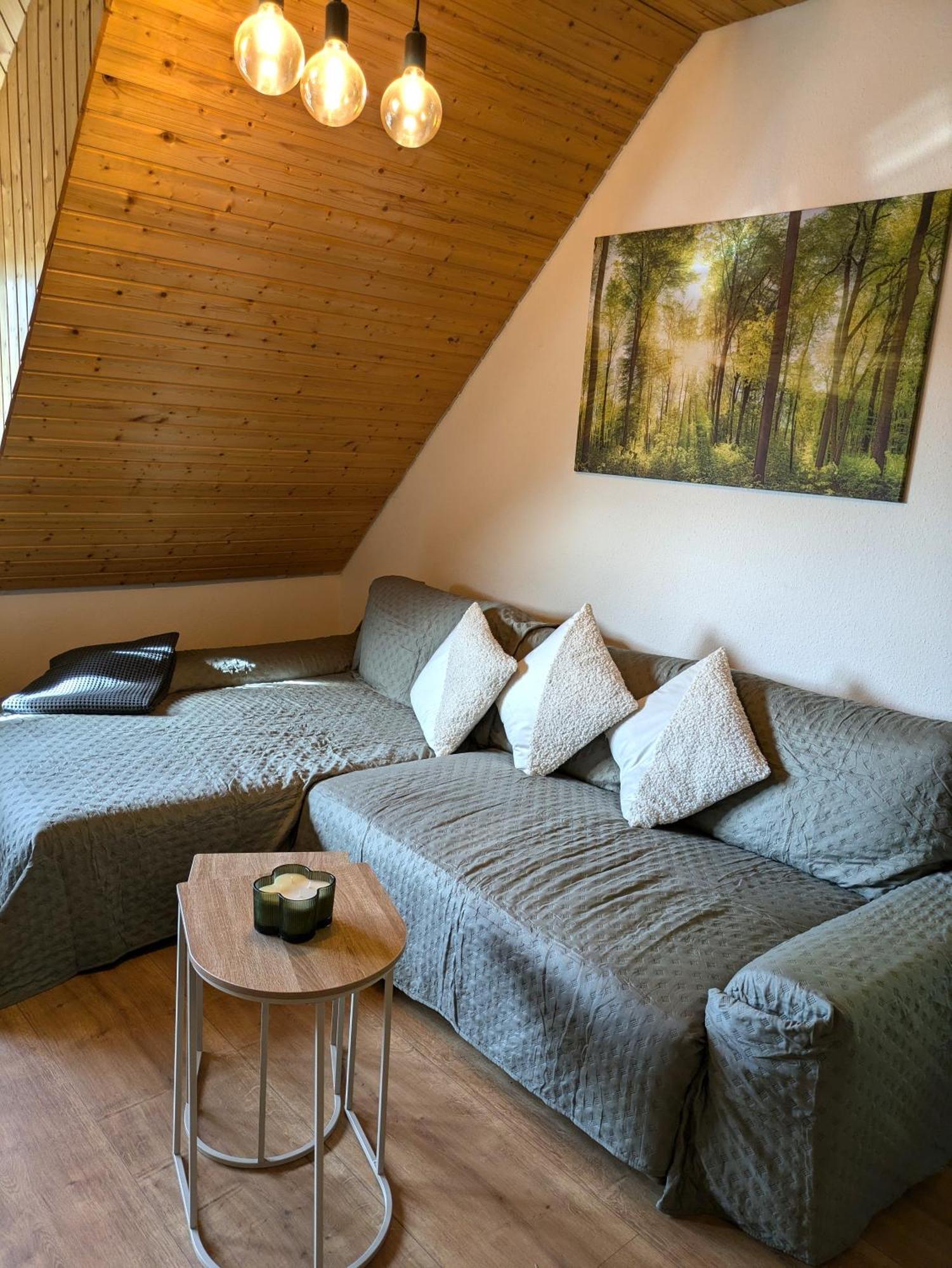 Black Forest Living - Todtnauberg Apartman Kültér fotó